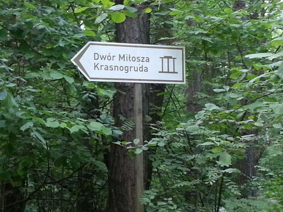 סיניי Agroturystyka Ogrodniki מראה חיצוני תמונה